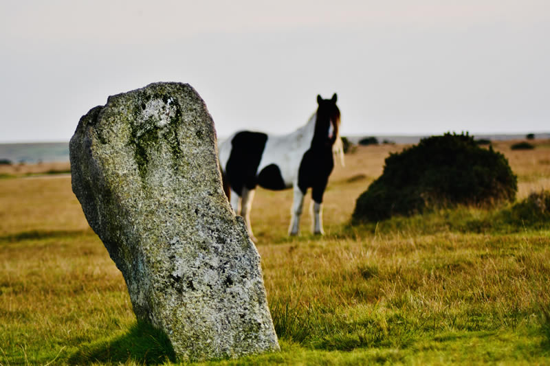 Trippet Stone Circle